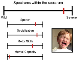 autism-spectrum-b